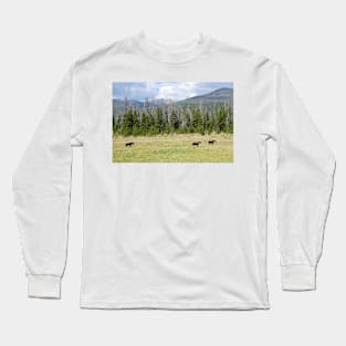 Moose in Rocky Mountain National Park Long Sleeve T-Shirt